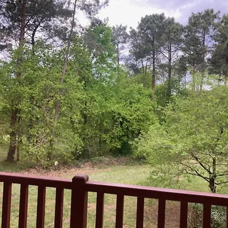 Apartment Palombiere Et Golf *